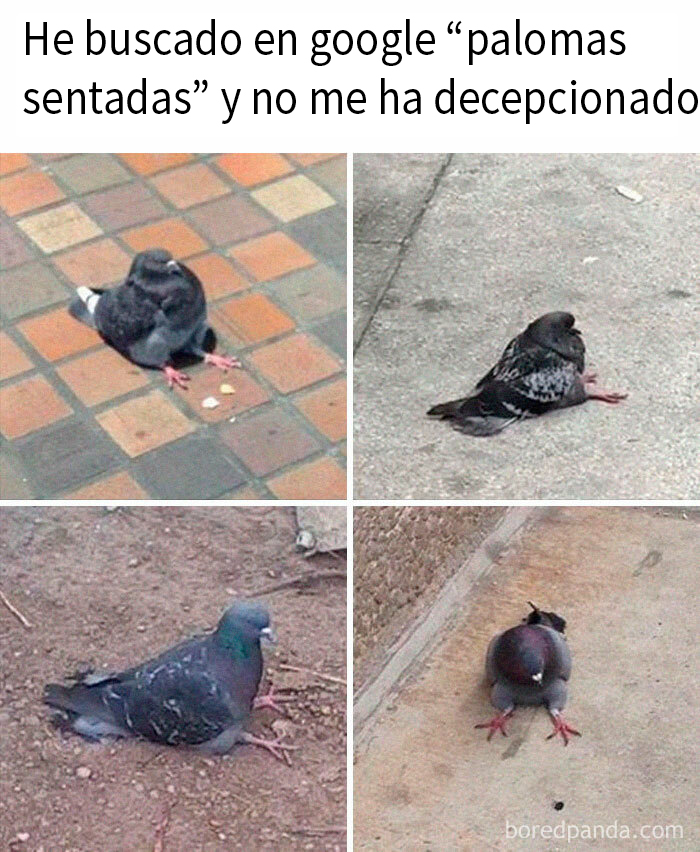 “The Michael Jordan Of Memes”: 50 Hilariously Random Memes From This IG Page