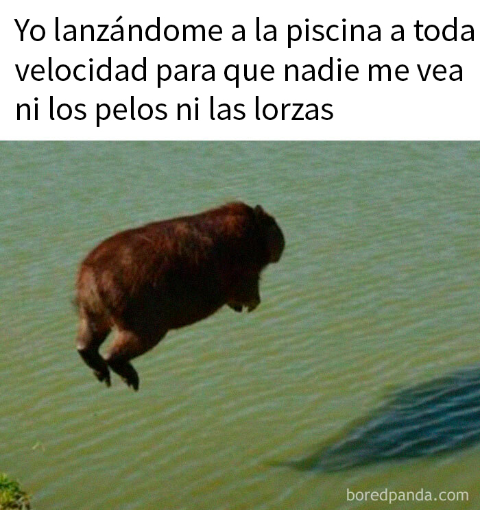 “The Michael Jordan Of Memes”: 50 Hilariously Random Memes From This IG Page