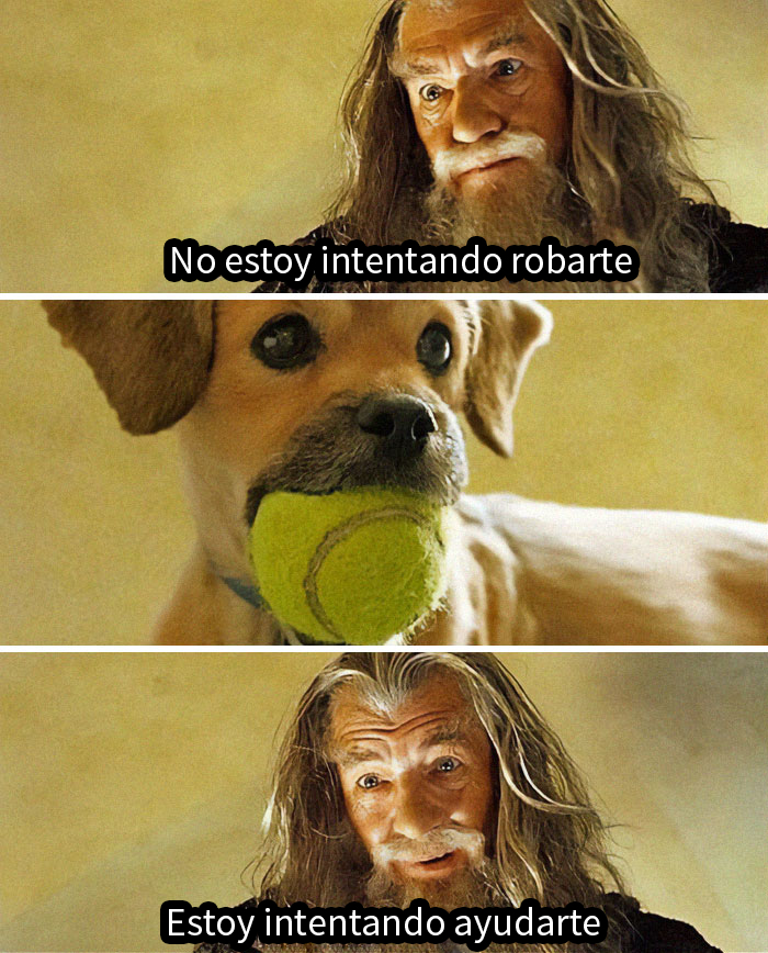 “The Michael Jordan Of Memes”: 50 Hilariously Random Memes From This IG Page