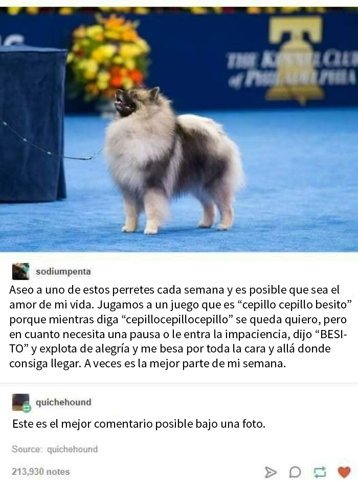 Cepillo cepillo besito