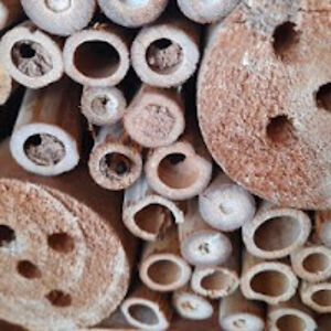 jacksuatoribio avatar