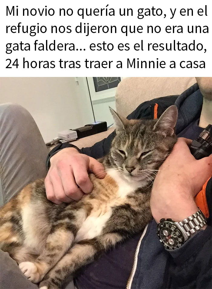 50 Hilarious Animal Memes To Leave You Cackling Like A Hyena