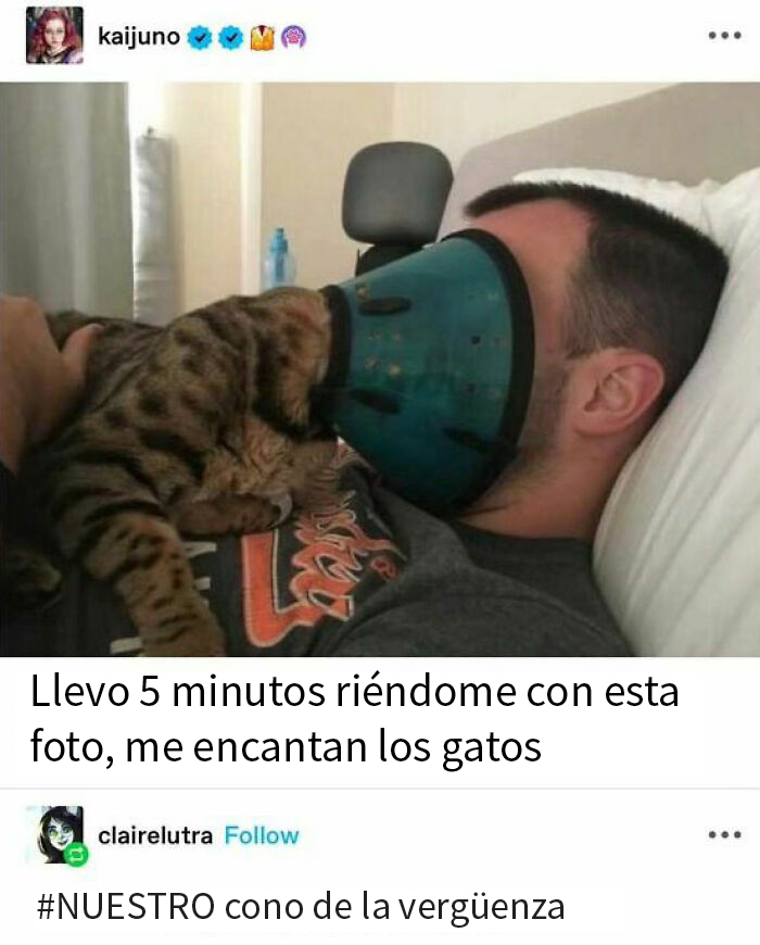 50 Hilarious Animal Memes To Leave You Cackling Like A Hyena