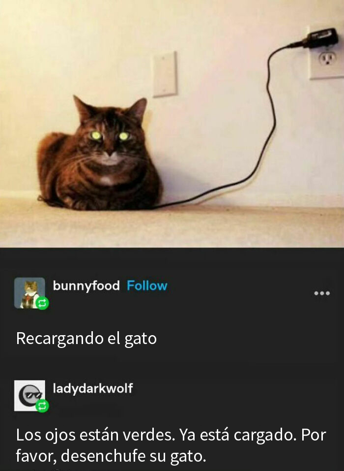 50 Hilarious Animal Memes To Leave You Cackling Like A Hyena