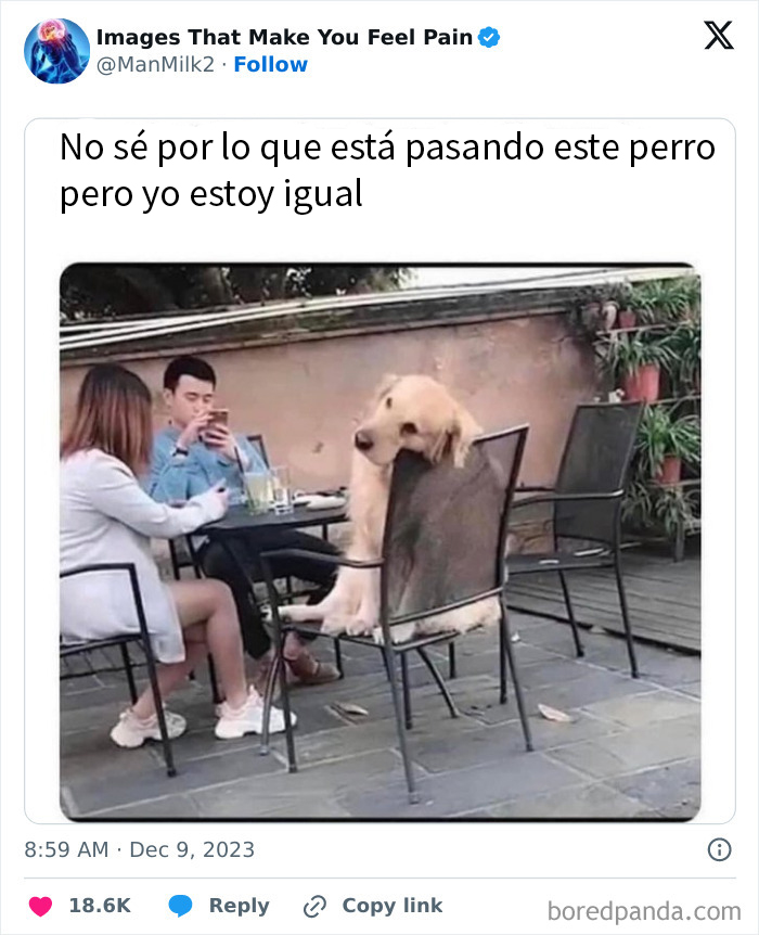 50 Painful Pics That Will Probably Make You Say “Okay, Enough Internet For Me For Today”