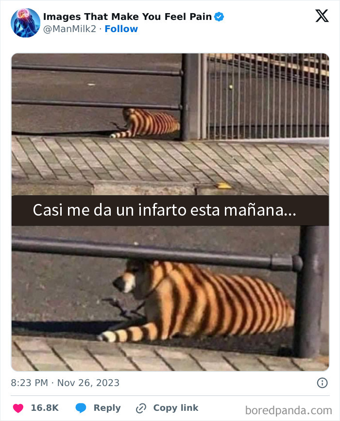 50 Painful Pics That Will Probably Make You Say “Okay, Enough Internet For Me For Today”