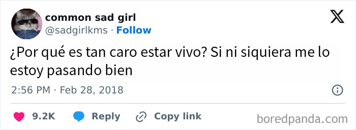 50 Hilarious Memes To Brighten Up Your Day