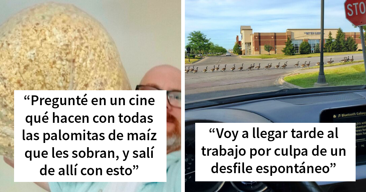 30 Publicaciones reconfortantes para alegrarte un poco el día