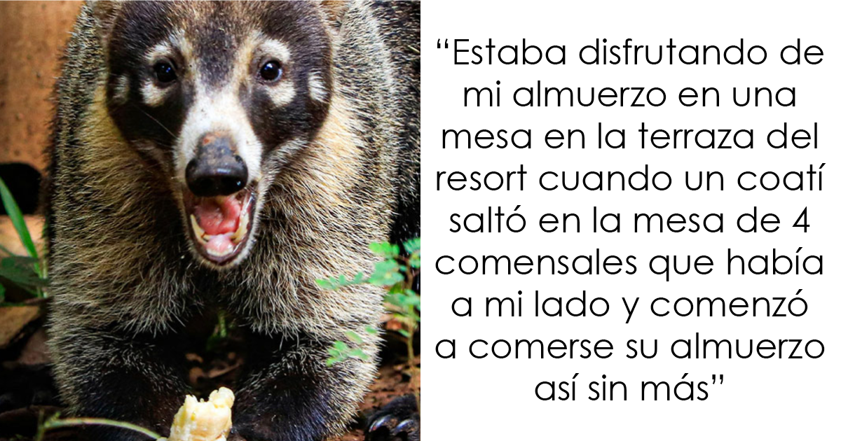 28 Cosas que los empleados de la industria hotelera desearían no haber visto