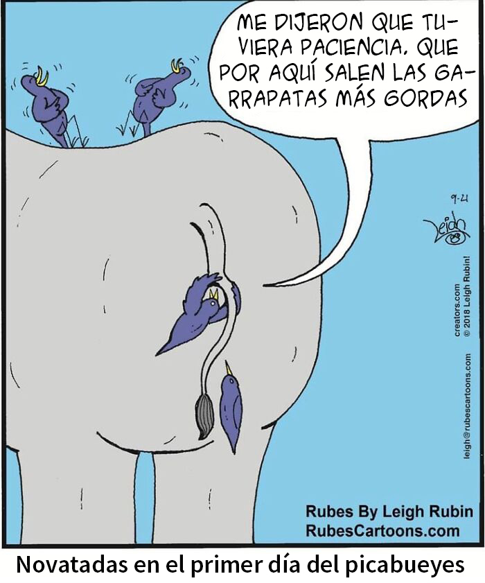 26 New Humorous Comics By Leigh Rubin To Make You Smile