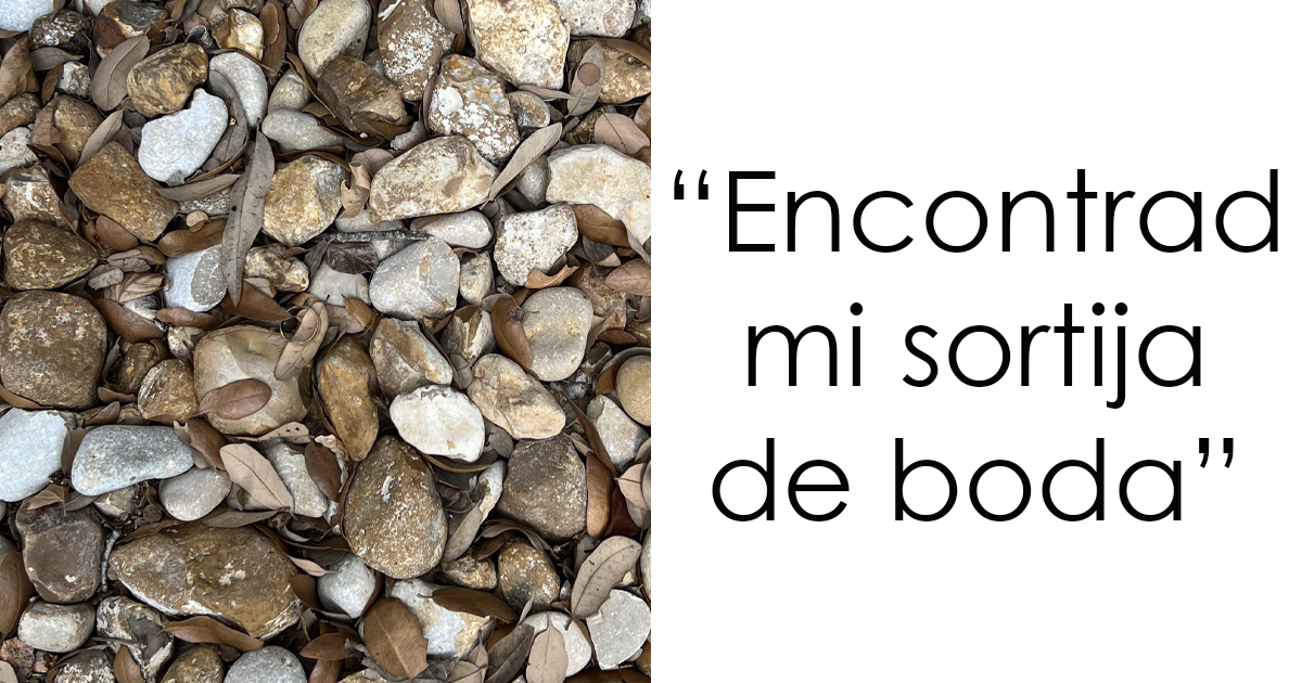 30 De los mejores ejemplos de camuflaje accidental que te costará descubrir (nuevas fotos)