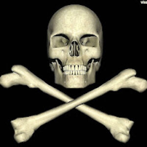 pafisanandres avatar