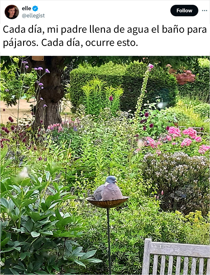 50 Adorable Animal Memes To Make Your Day At Least 99% Better