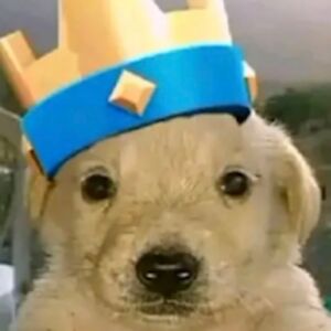 angelicahilanabarriosperedo avatar