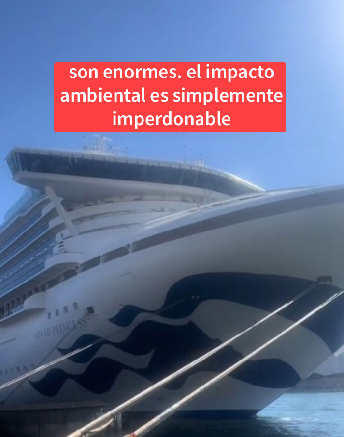 Esta mujer cuenta por qué nadie debería irse de crucero Esta mujer cuenta por qué nadie debería irse de crucero