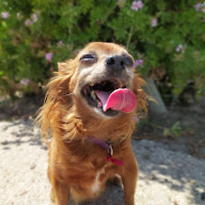 tamaraalarconanton avatar