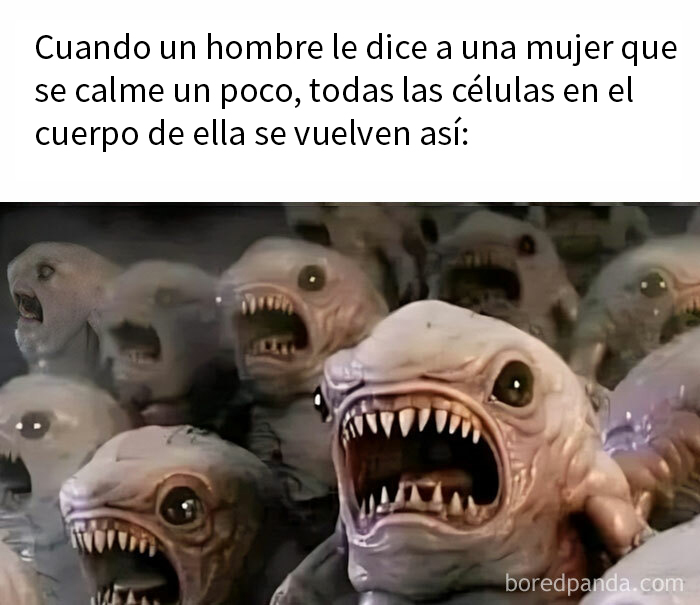 50 Hilarious Random Memes To Brighten Up Your Day (New Pics)