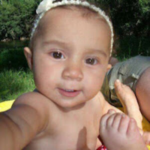 fernandogoicoecheagarcia avatar