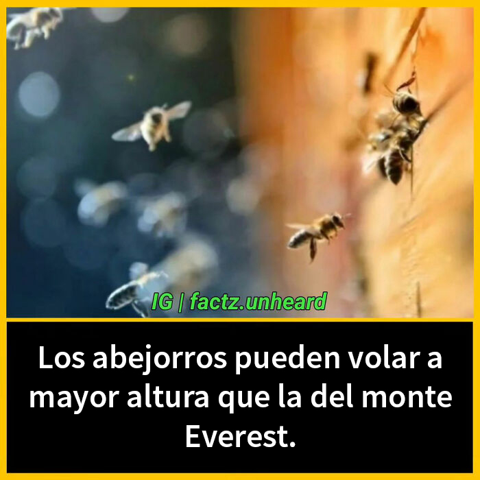 50 Random And Interesting Facts You Might Not Know About The World