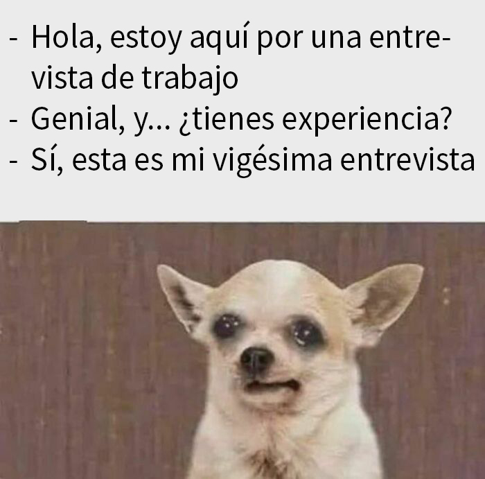 50 Funny Memes For When You’re Too Tired To Do Anything Else