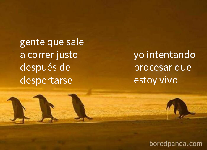 50 Funny Memes For When You’re Too Tired To Do Anything Else