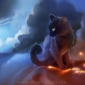 claudiarebollargil avatar