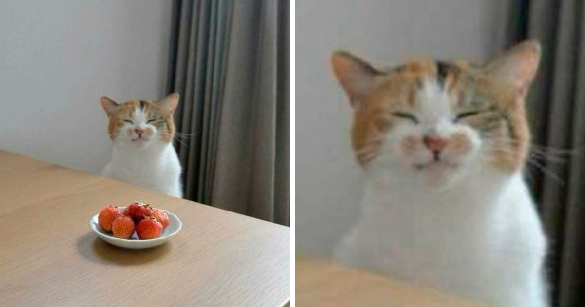 50 “imágenes benditas” que pueden mejorar tu día (Nuevas fotos)