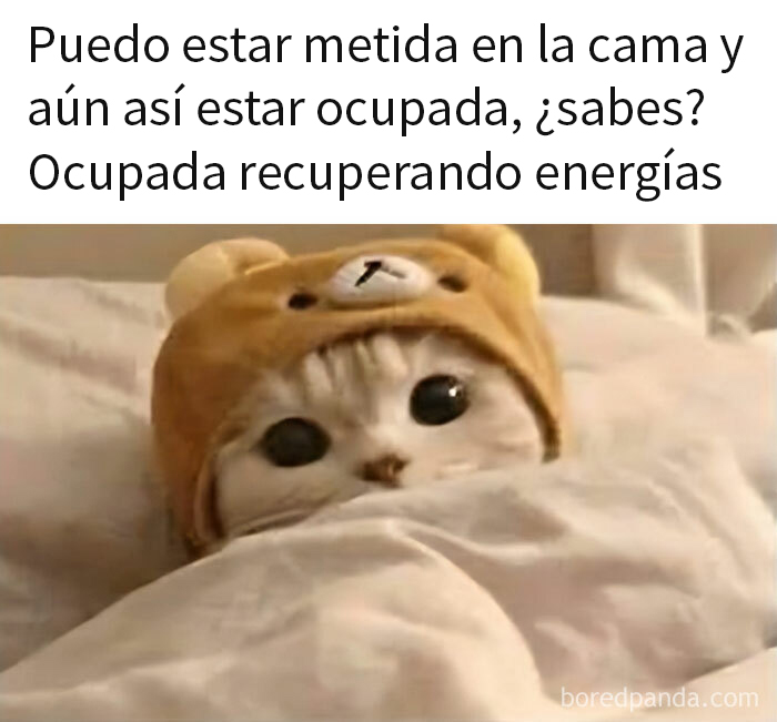 ‘Women’s Humor’: 50 Hilarious Posts For Those That Need A Little Pick-Me-Up (New Pics)