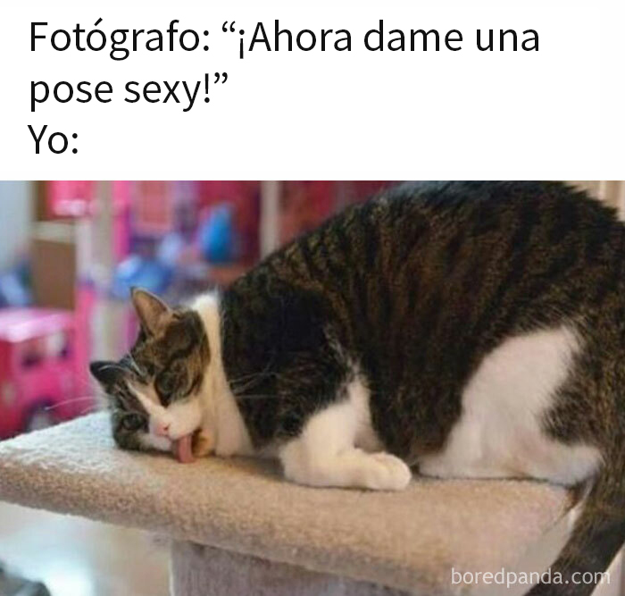 ‘Women’s Humor’: 50 Hilarious Posts For Those That Need A Little Pick-Me-Up (New Pics)