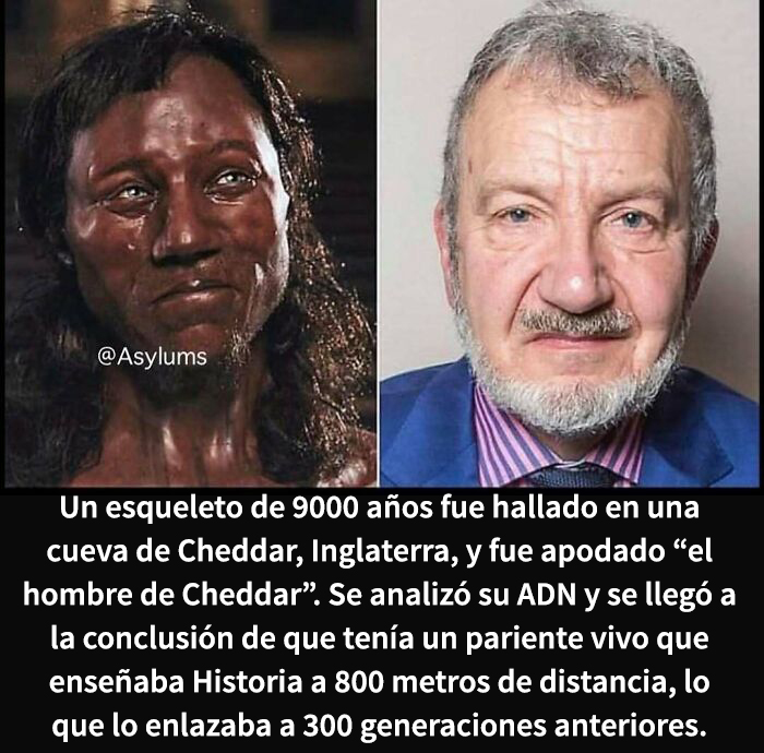 This Instagram Account Shares Weird Facts And Here Are The 50 Of The Creepiest Ones