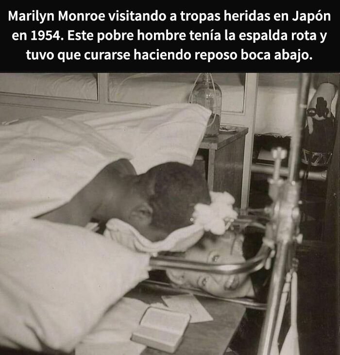 This Instagram Account Shares Weird Facts And Here Are The 50 Of The Creepiest Ones