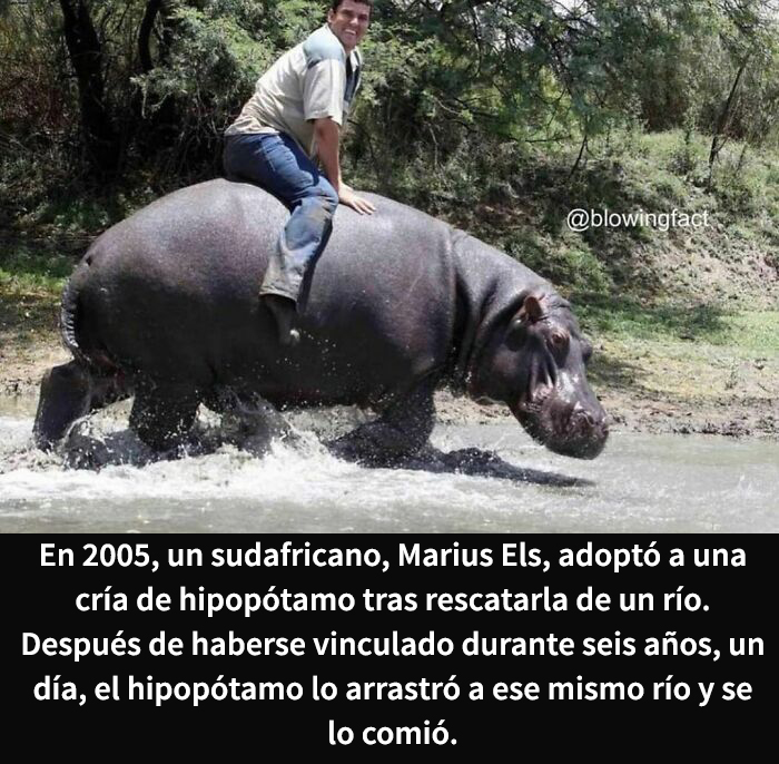 This Instagram Account Shares Weird Facts And Here Are The 50 Of The Creepiest Ones