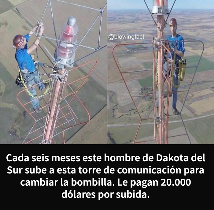 This Instagram Account Shares Weird Facts And Here Are The 50 Of The Creepiest Ones