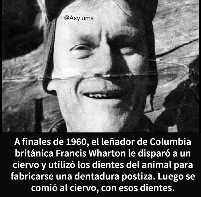 This Instagram Account Shares Weird Facts And Here Are The 50 Of The Creepiest Ones