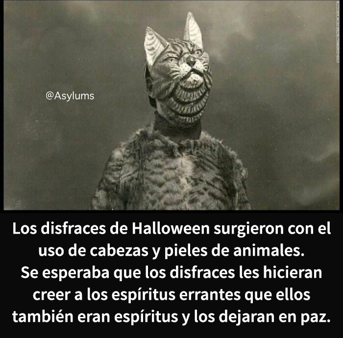 This Instagram Account Shares Weird Facts And Here Are The 50 Of The Creepiest Ones