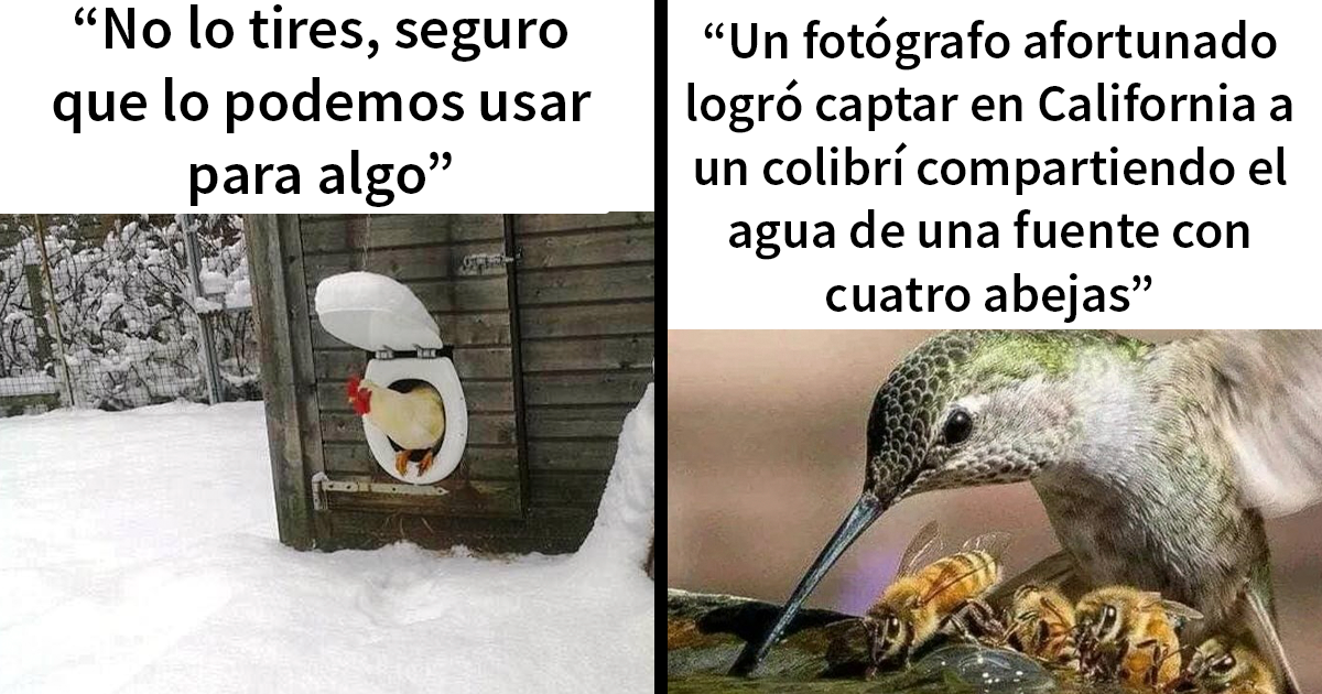 20 Divertidos memes para mostrar que la vida campestre no es tan pacífica como parece