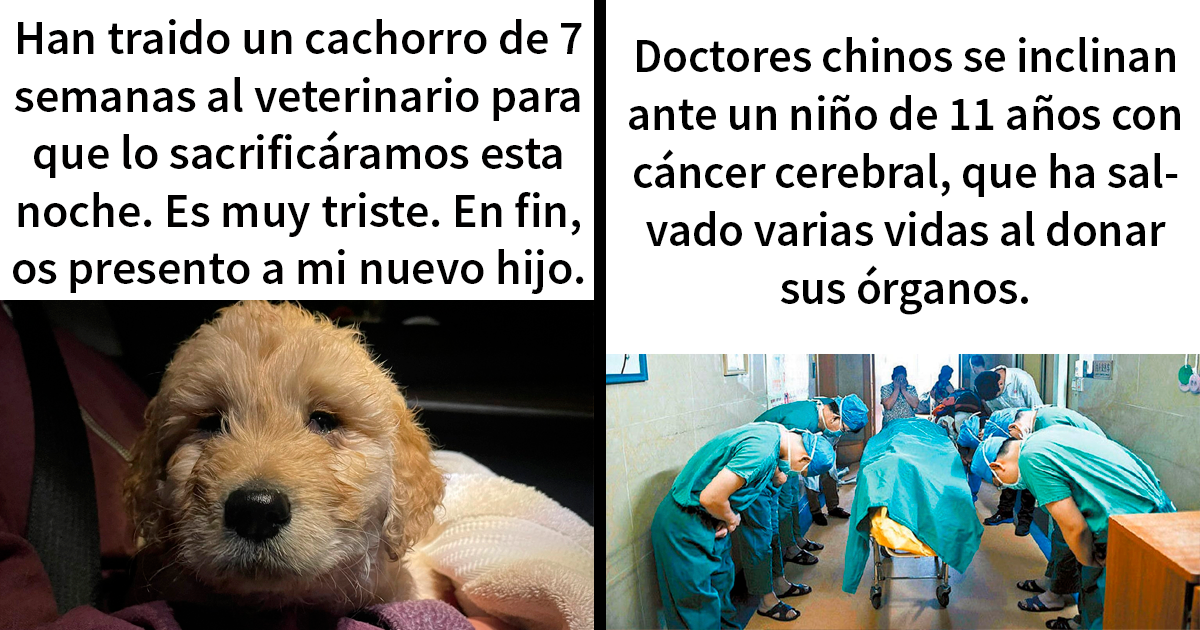 Si te parece que el mundo se va al infierno, estas 20 historias positivas quizá te ayuden a cambiar de opinión