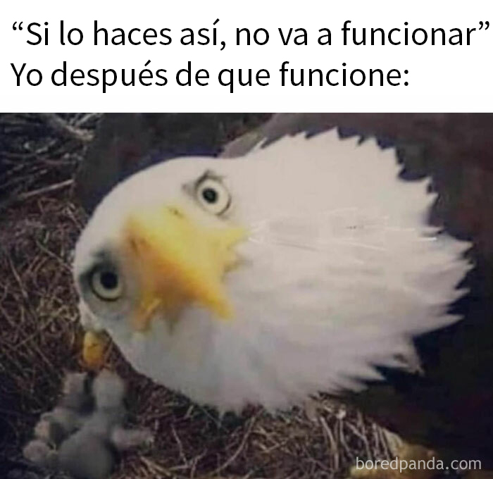 1.7M People Are Crying Laughing At The Memes From This Page, So Here Are The 49 Best