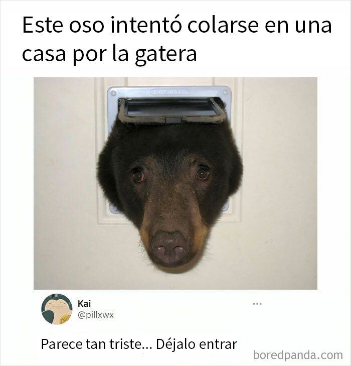 1.7M People Are Crying Laughing At The Memes From This Page, So Here Are The 49 Best