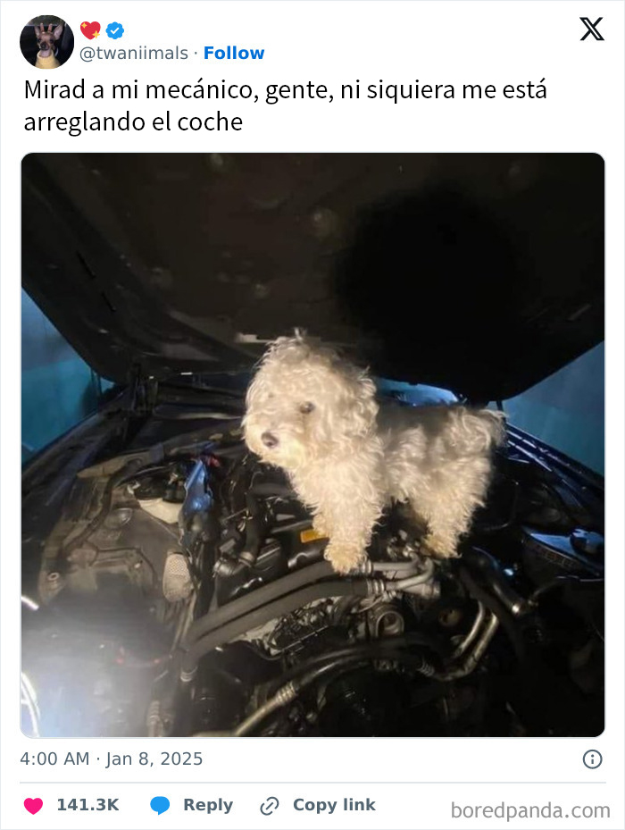 20 Divertidos tuits publicados durante Enero