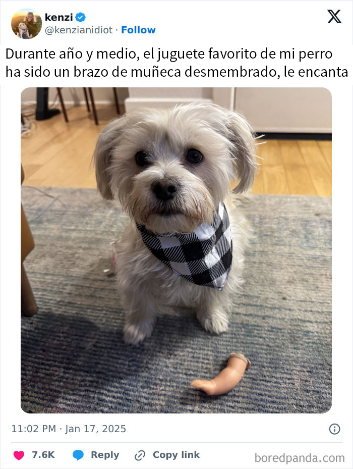 20 Divertidos tuits publicados durante Enero