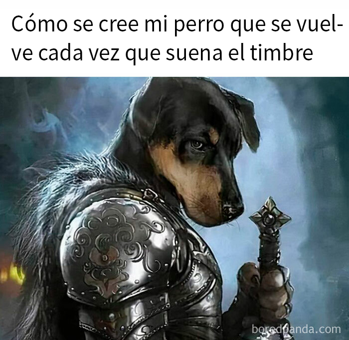 Perro en armadura medieval sosteniendo una espada, simulando fantasía heroica.