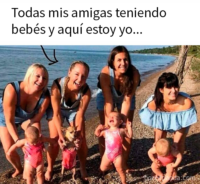 Mujer en la playa sosteniendo un perro junto a amigas con bebés, representando divertidos memes sobre perros.