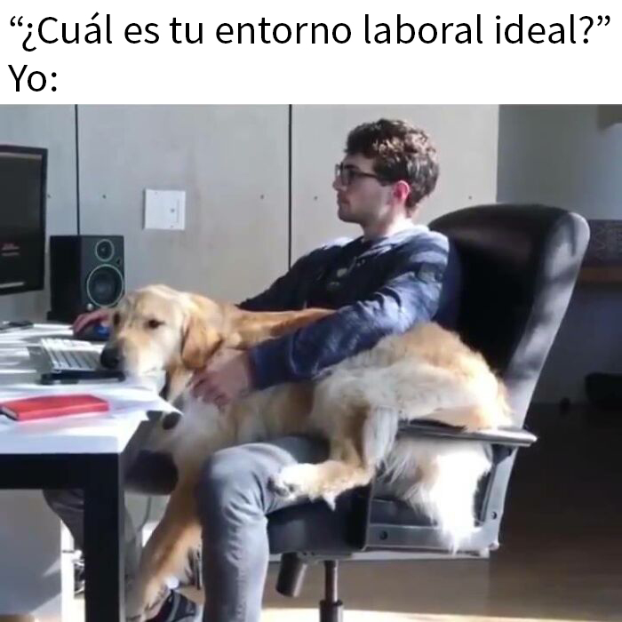 Hombre en escritorio con perro grande en el regazo, creando un ambiente divertido para dueños de perros en la oficina.