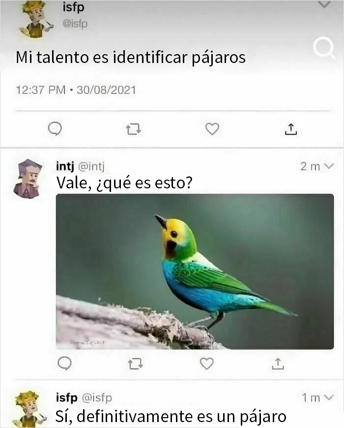 Tuits graciosos sobre identificar pájaros, ejemplo de humor para hombres.