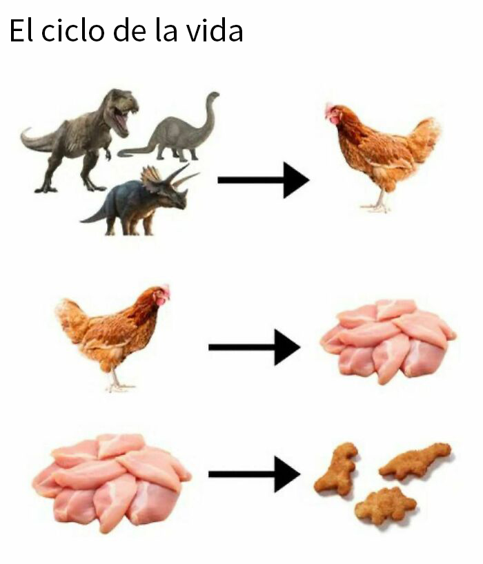 Evolución humorística de dinosaurios a pollo y nuggets, ilustrando "humor para hombres".