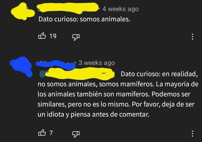 Comentarios en redes donde alguien intenta corregir a otra persona sobre animales y mamíferos.