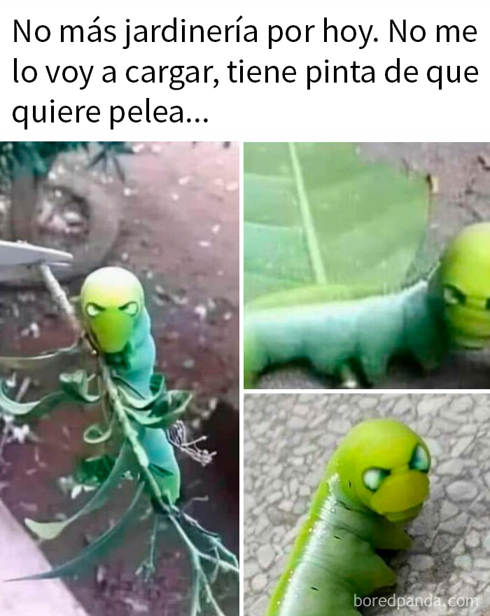20 Memes que tienen más gracia si dominas el sarcasmo