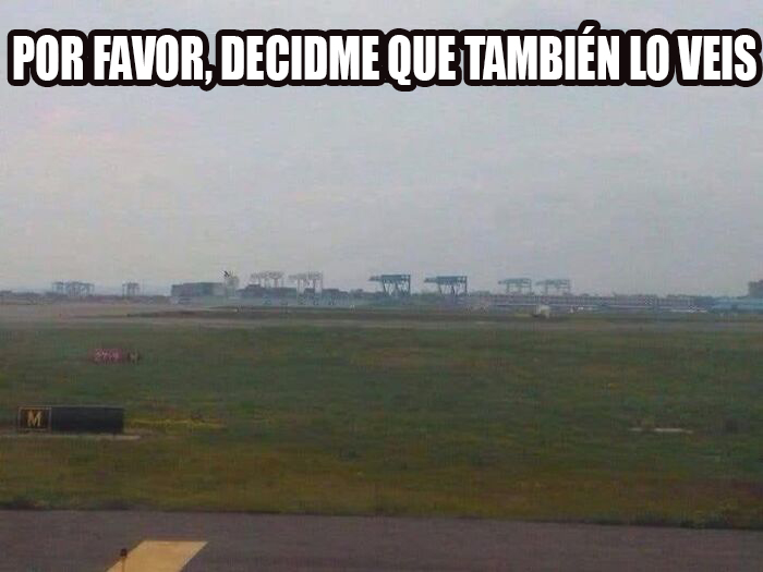 Una vista de un campo con una frase divertida en la parte superior, ejemplificando memes raros.