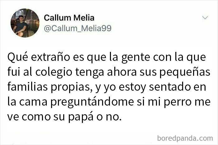 Memes divertidos que reflejan el humor británico sobre la vida adulta y las pequeñas familias en tono cómico.